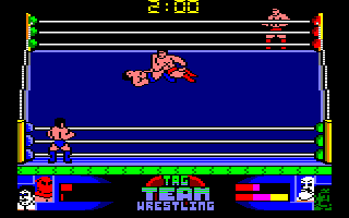 Screenshot of American Tag Team Wrestling
