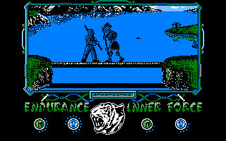 Screenshot of The Way of the Tiger